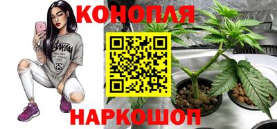 крисы Ливны