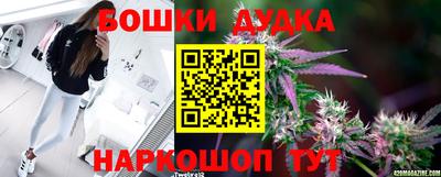 крисы Ливны