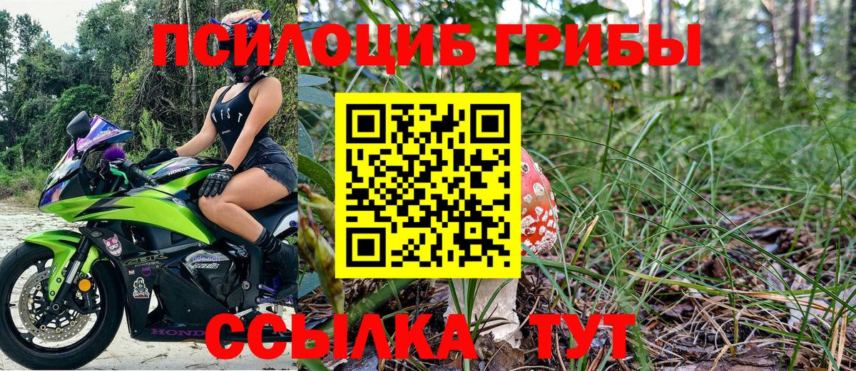 Псилоцибиновые грибы Psilocybe  Вход с VPN  цена   Калач-на-Дону 