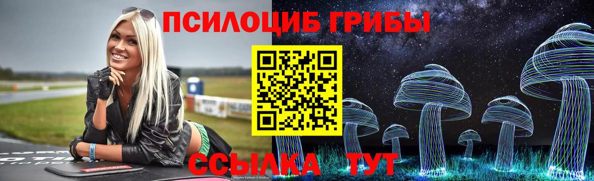 Псилоцибиновые грибы MAGIC MUSHROOMS Калач-на-Дону